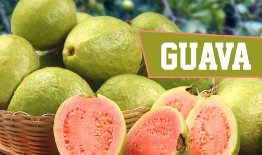 Guava
