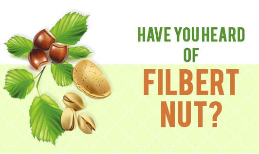 Have you heard of filbert nut?