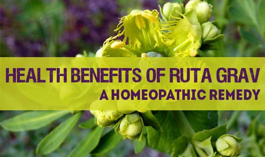Health Benefits of Ruta Grav - A Homeopathic Remedy