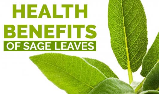 Health Benefits of Sage leaves