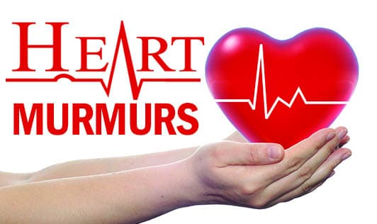 Heart Murmurs (Abnormal Sounds During The Heartbeat Cycle)