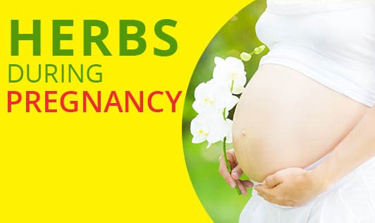 Herbs during Pregnancy - Part 3