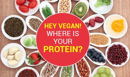 Hey Vegan! Where is Your Protein?