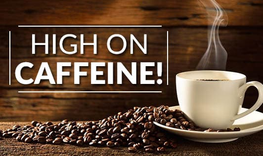 High on Caffeine!