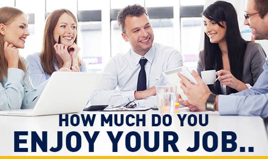 How much do you Enjoy your Job..