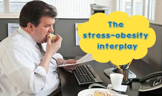 How stress affects your weight