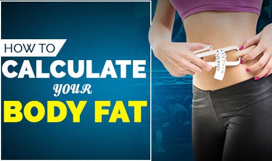 How To Calculate Your Body Fat?