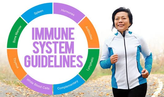Immune System Guidelines