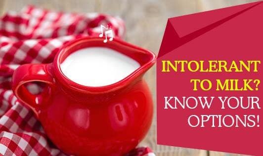 Intolerant To Milk? Know Your Options!