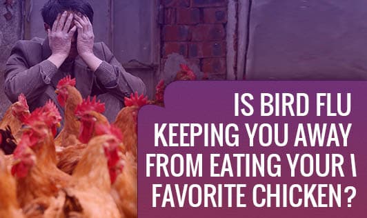 Is Bird Flu keeping you away from eating your Favorite Chicken?