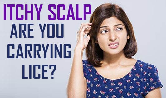 Itchy Scalp - Are You Carrying Lice?