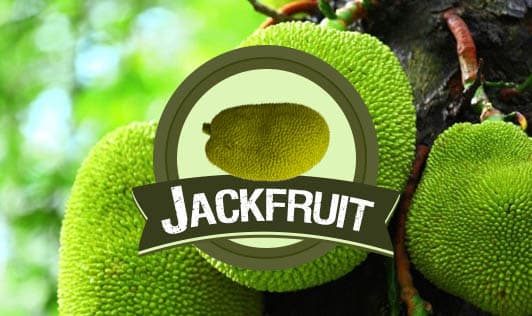 Jackfruit