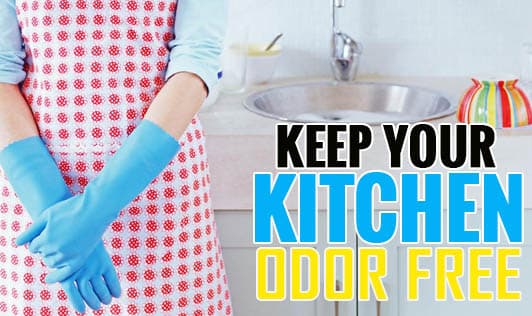 Keep Your Kitchen Odor Free