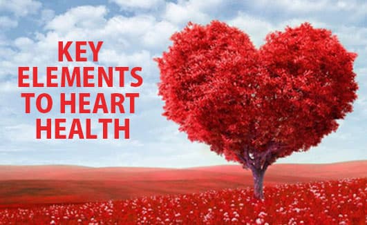 Key elements to heart health