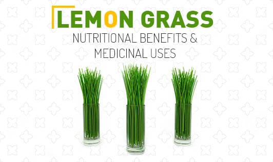 Lemon Grass- Nutritional Benefits & Medicinal Uses