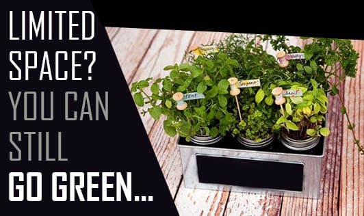 Limited Space? You Can Still Go Green...