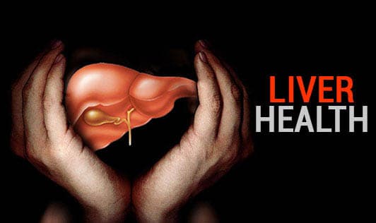 Liver Health