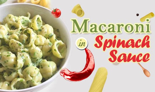 Macaroni in spinach sauce