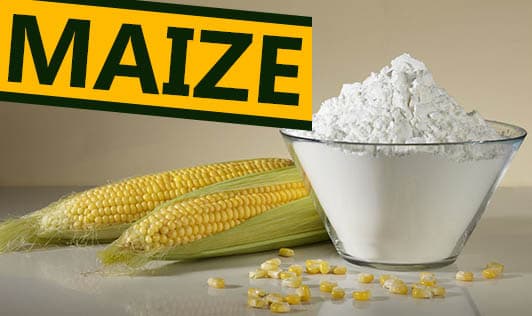 Maize
