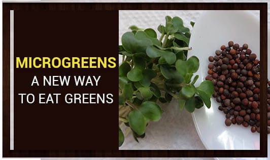 Microgreens:  A new way to eat greens
