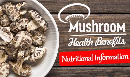 Mushroom: Health Benefits, Nutritional Information