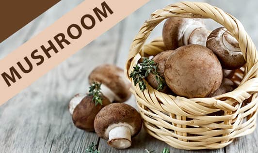 Mushroom