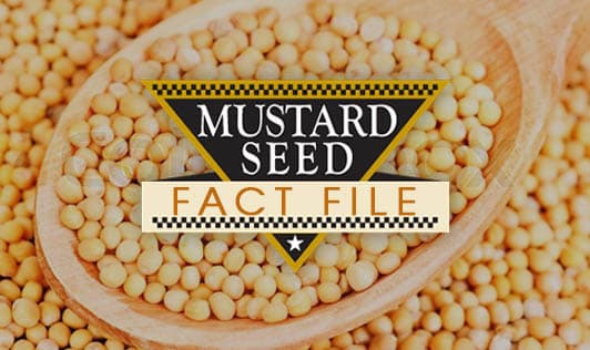 Mustard Seeds: Fact File