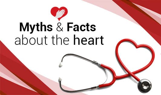 Myths and Facts about the heart