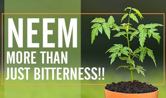 Neem- More Than Just Bitterness!!