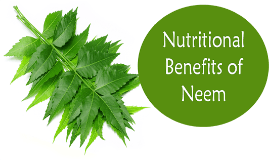 Nutritional Benefits of Neem