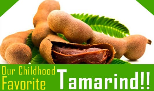 Our Childhood Favorite - Tamarind!!