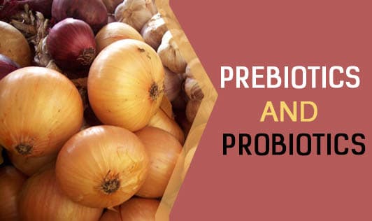 Prebiotics and Probiotics