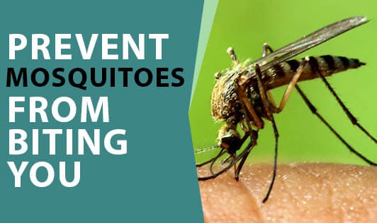 Prevent Mosquitoes from Biting You