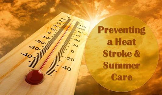 Summer Care: Preventing a Heat Stroke