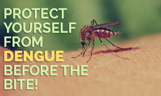 Protect Yourself From Dengue Before The Bite!