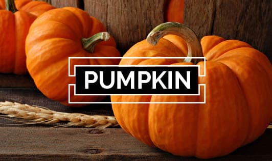 Pumpkin