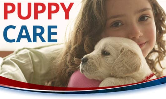 Puppy Care