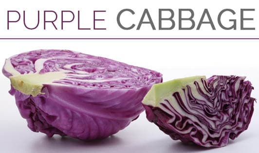 Purple Cabbage