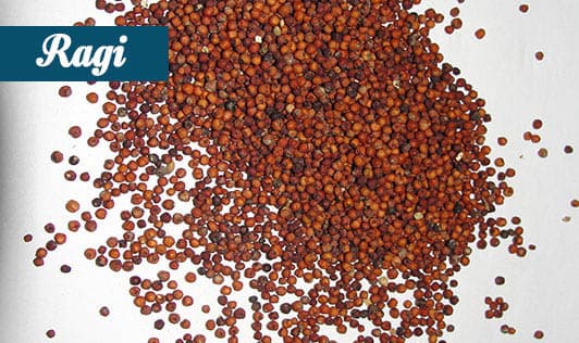 Ragi