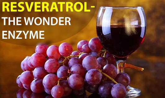 Resveratrol - The Wonder Enzyme