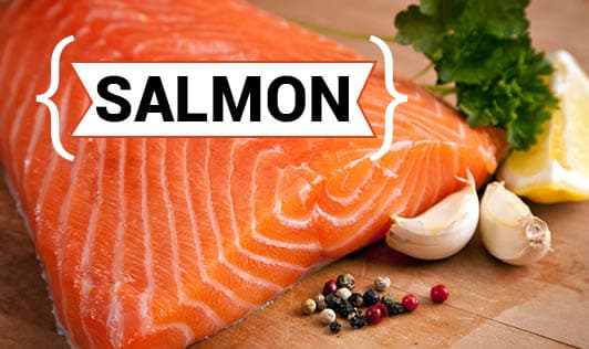 Salmon