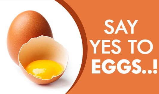 Say Yes to Eggs..!