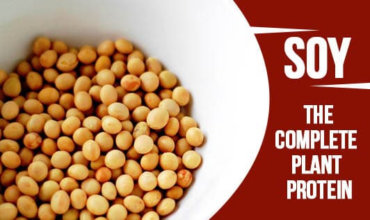 Soy, the complete plant protein