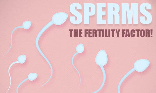 Sperms, The Fertility Factor!
