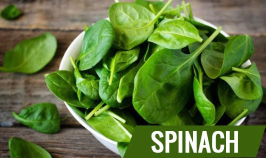Spinach