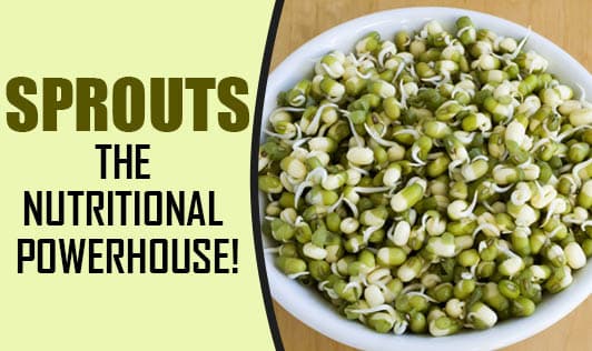 Sprouts - The Nutritional Powerhouse!