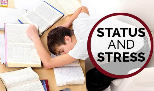 Status and Stress
