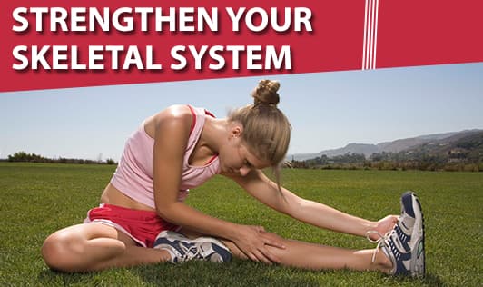 Strengthen Your Skeletal System