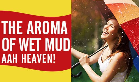 The Aroma of Wet Mud... Aah Heaven!