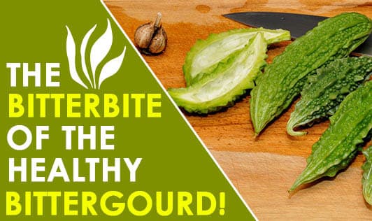 The Bitterbite of the Healthy Bittergourd!